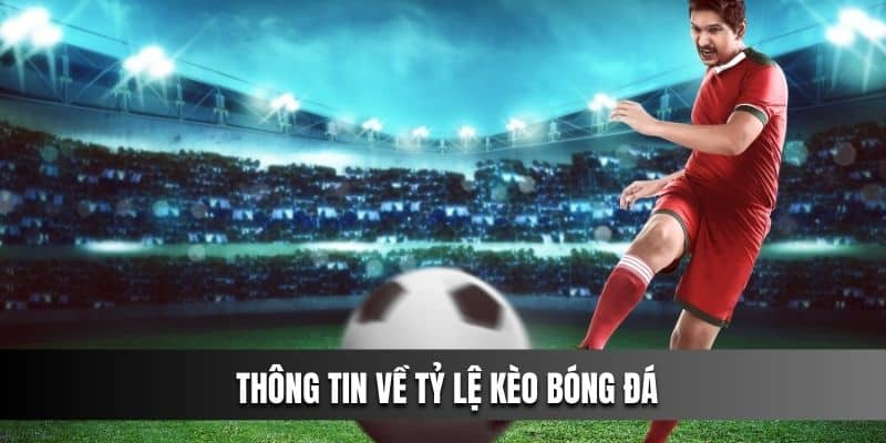  Thông tin về tỷ lệ kèo bóng đá